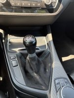 IMG_7247.jpeg